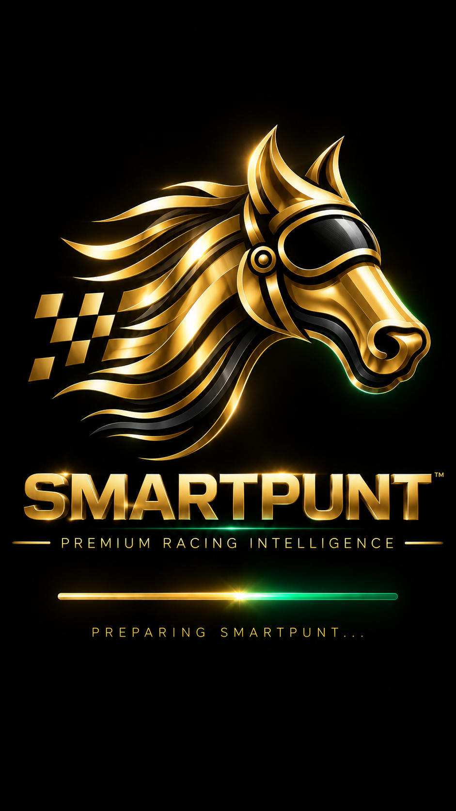 SmartPunt loading